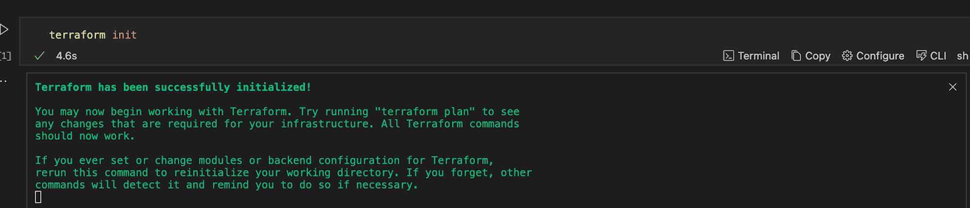 terraform init